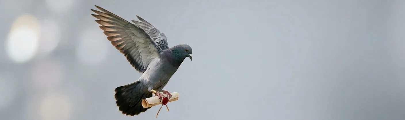 A carrier pigeon in flight delivering a sealed message